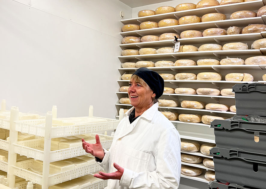 Glad kvinna i ostfabrik