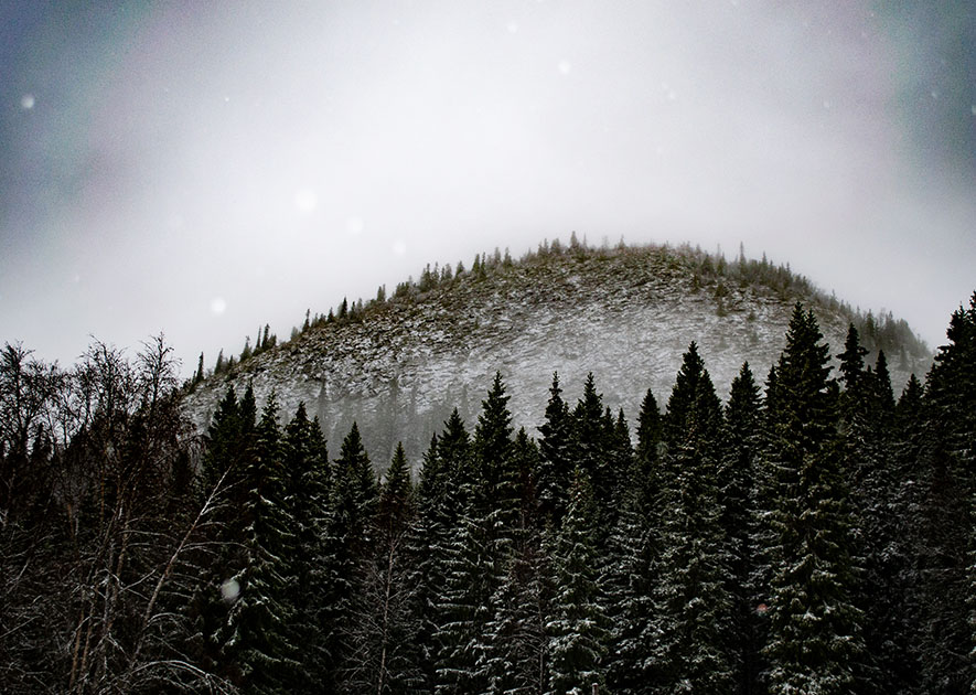 Berg och skog i mörkret