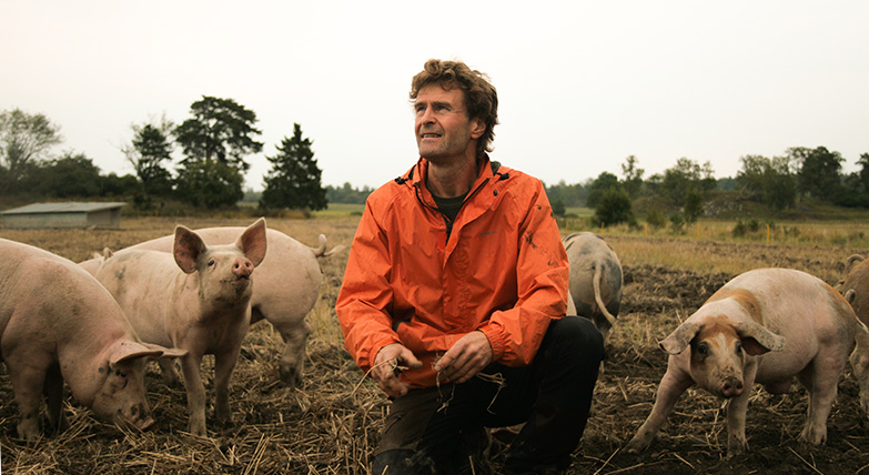 Kött från ekologiska gårdar