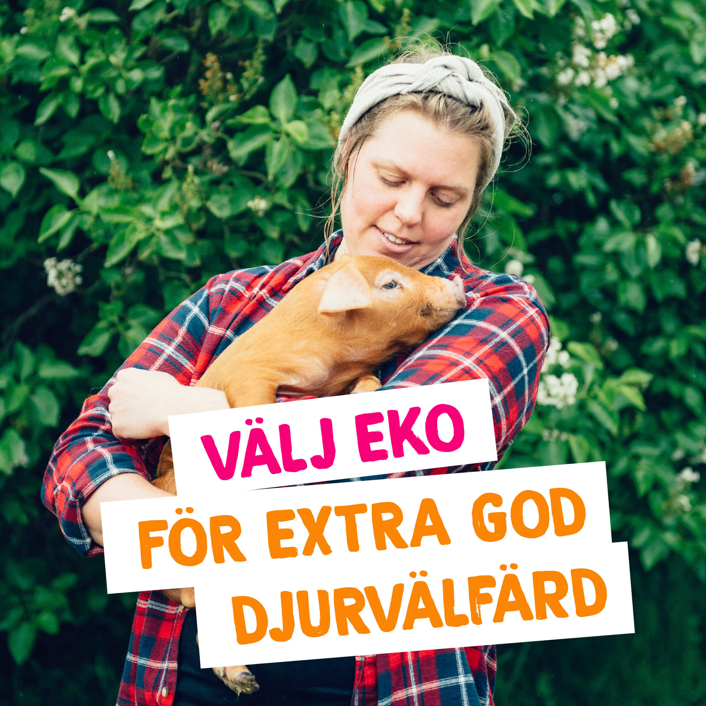 Ekovinst_Djurvalfard_2_tiny