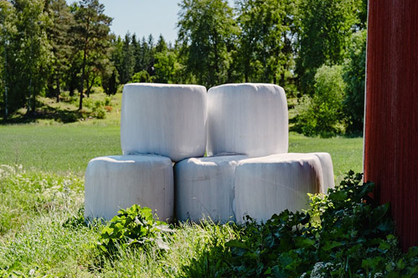 Ensilagebalar p&aring; g&aring;rden