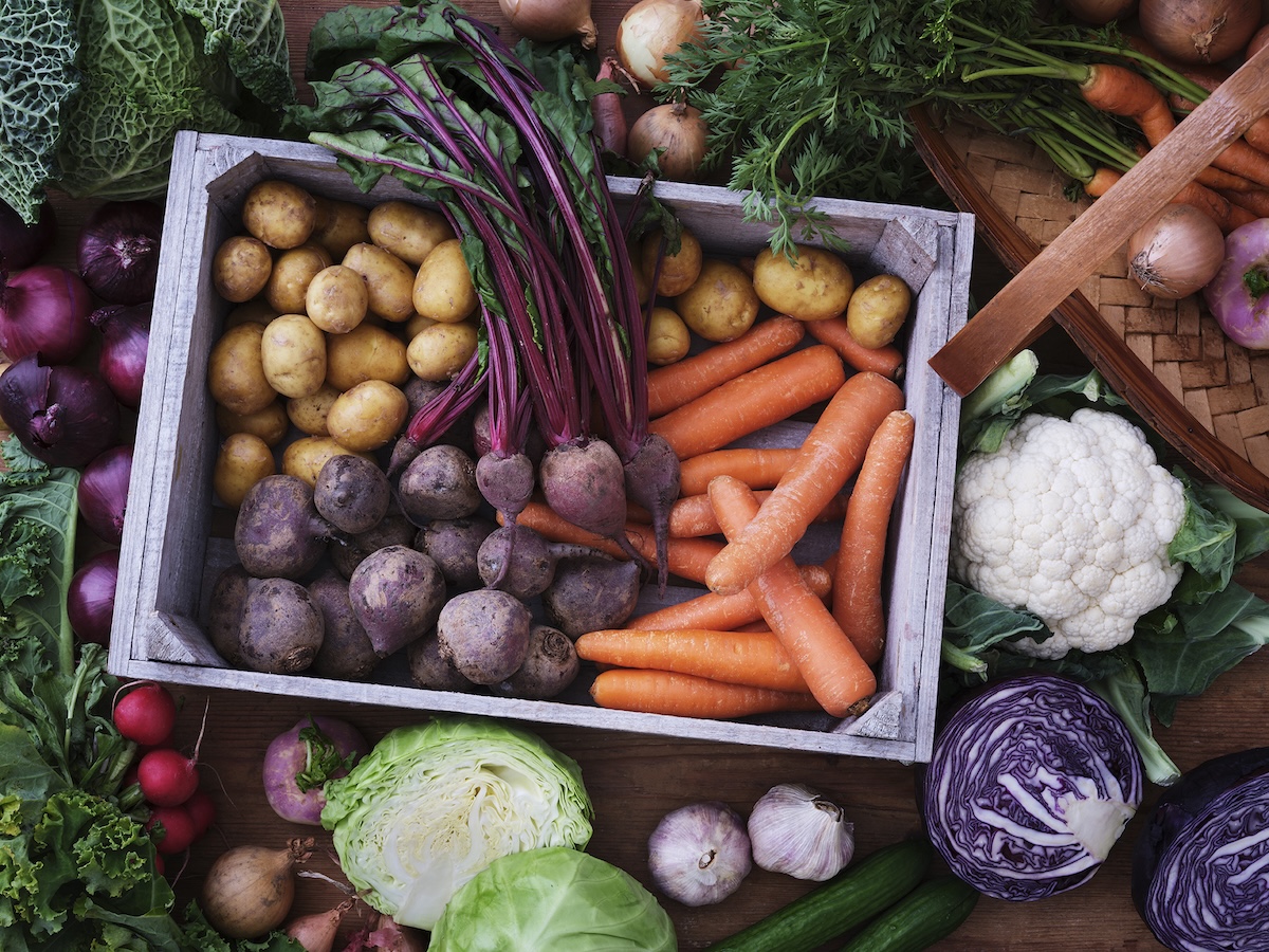 Rotfrukter i tr&auml;l&aring;da