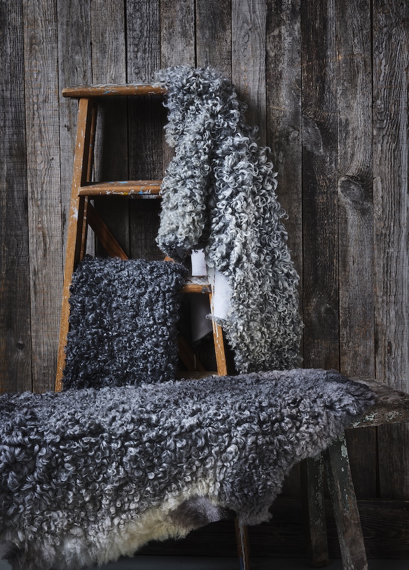 lammskinn mot en trävägg hängandes på stege